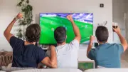 WM-TV-Auswertung: Ruhrpott hat die größten Fernseher