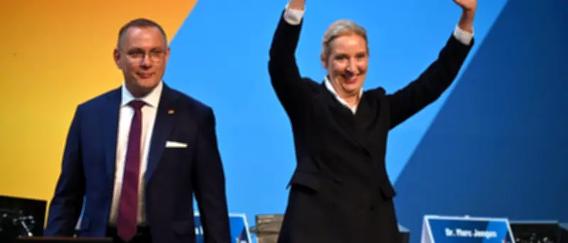 AfD-Parteitag: Weidel und Chrupalla als Spitzenduo bestätigt