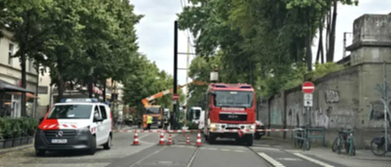 Ast in Oberleitung: Tramlinien 94 und 99 in Potsdam unterbrochen