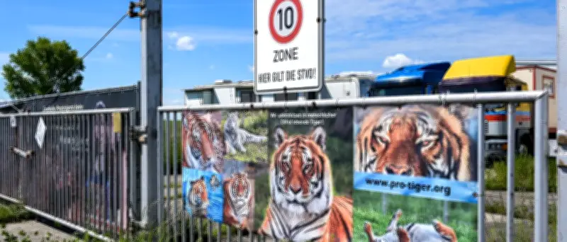 Behörden rücken bei privater Tigerhaltung in Dölzig bei Leipzig ein