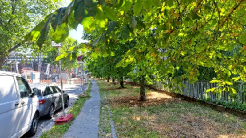 Berliner Bezirk droht mit Polizei: Keine Fällung von Kastanien
