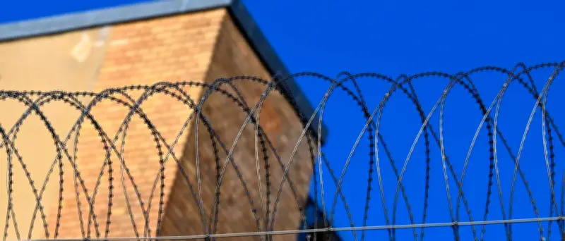 Berliner Gefängnisse: Über 2,8 Kilo Drogen im ersten Quartal 2026 sichergestellt
