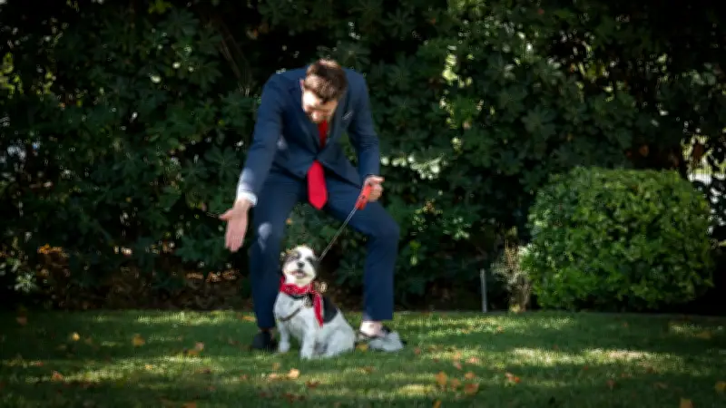 Beziehung statt Befehl: Warum Ihr Hund Sie ignoriert