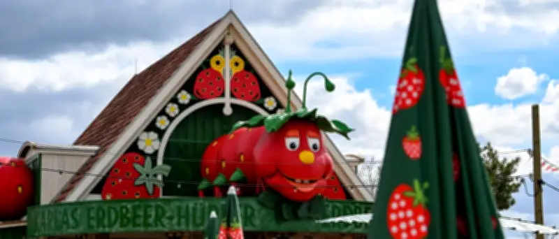 Bibi & Tina Freizeitpark: Neues Familienparadies in Brandenburg ab 2027