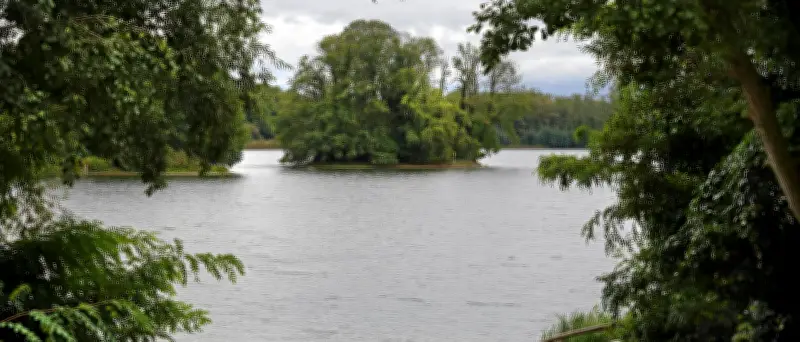Blaualgen in Potsdam: Inselschwimmen im Groß Glienicker See abgesagt