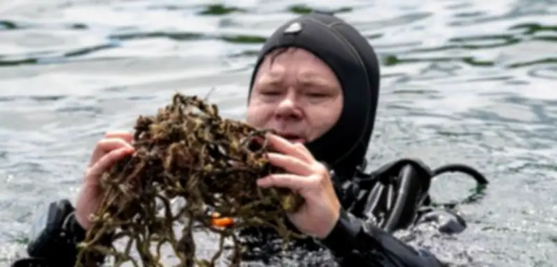 Carsten Schneider taucht vor Rügen: Ostsee-Verschmutzung im Fokus