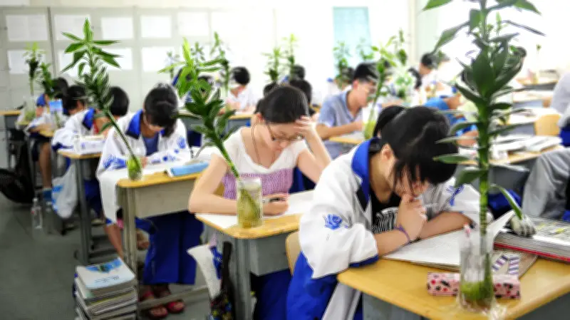 China baut Hochschulen radikal auf Technologie um
