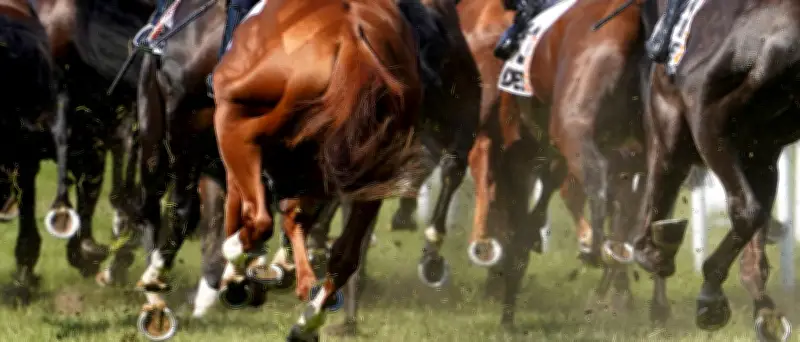 Dardanos gewinnt deutsches Galopp-Derby mit Rekordquote