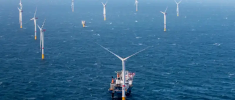 EnBW-Chef: Windkraft-Ausbauziele auf See senken