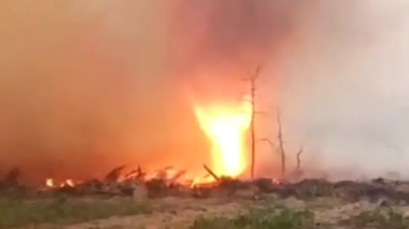 Feuertornado in Tschernobyl-Sperrzone: Retter kämpfen gegen Flammenwirbel