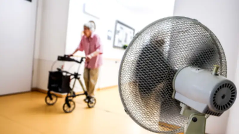 Hitzewelle: Schon über 800 Hitzetote in Deutschland – RKI schätzt 500 Senioren