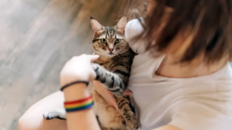 Katzenpfoten extrem empfindlich: Das steckt hinter dem Schutzmechanismus
