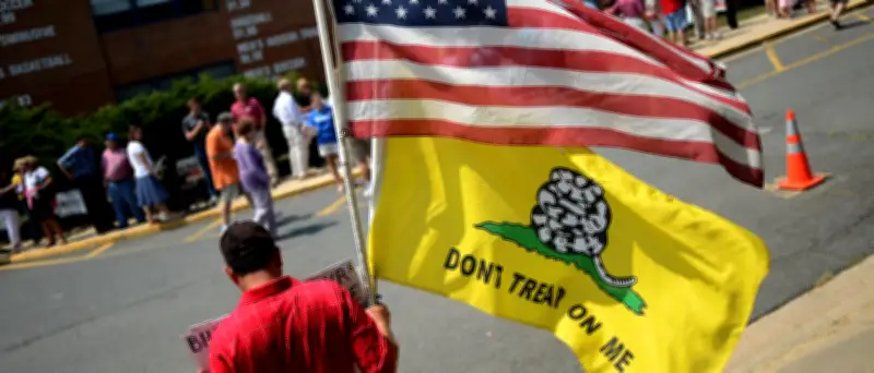 Klapperschlange fast statt Weißkopfseeadler im US-Wappen