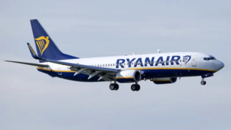 Mückenschwarm legt Ryanair-Flug in Mailand lahm – drei Stunden Verspätung
