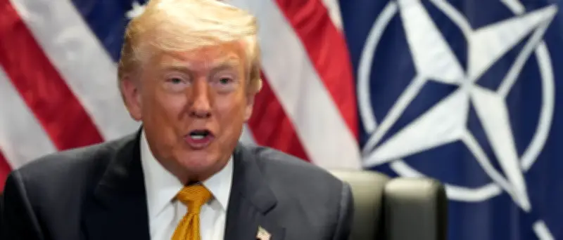 Nato-Gipfel in Ankara: Trump attackiert Verbündete und droht Spanien