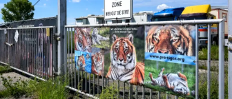 Polizei und Veterinäramt setzen Auflagen in privater Tigerhaltung durch