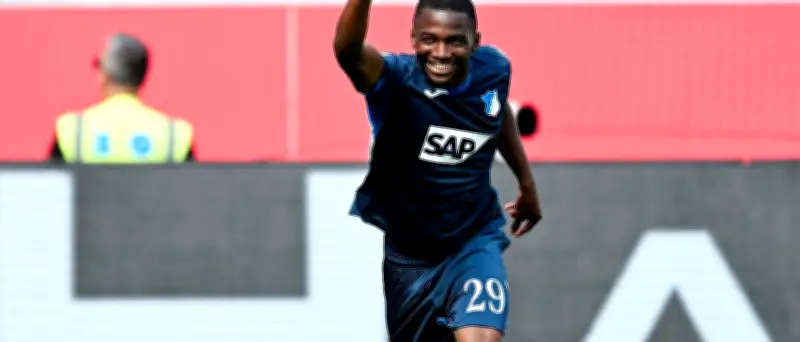 Rekordtransfer perfekt: Hoffenheims Touré wechselt zu Newcastle United