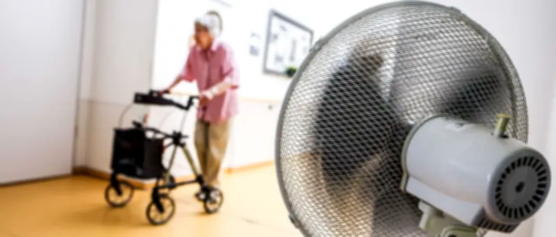 RKI: Bereits über 800 Hitzetote in Deutschland vor der extremen Hitzewelle