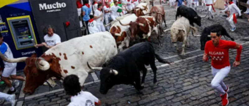 San-Fermín-Fest: Fünf Verletzte bei erster Stierhatz in Pamplona