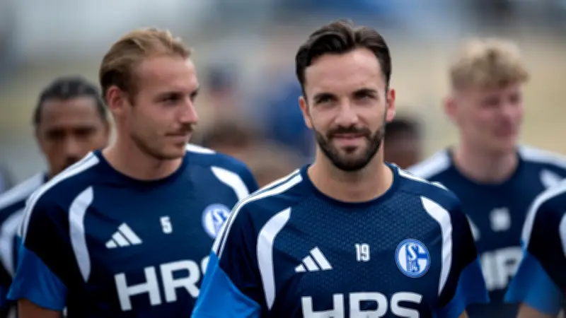 Schalke 04: So bundesligareif ist der Aufstiegskader