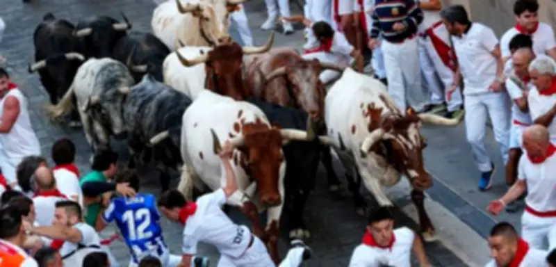 Stierlauf in Pamplona: Tradition oder Tierquälerei?