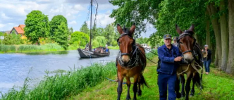 Treidelfest am Finowkanal: Mulis ziehen historischen Kaffenkahn