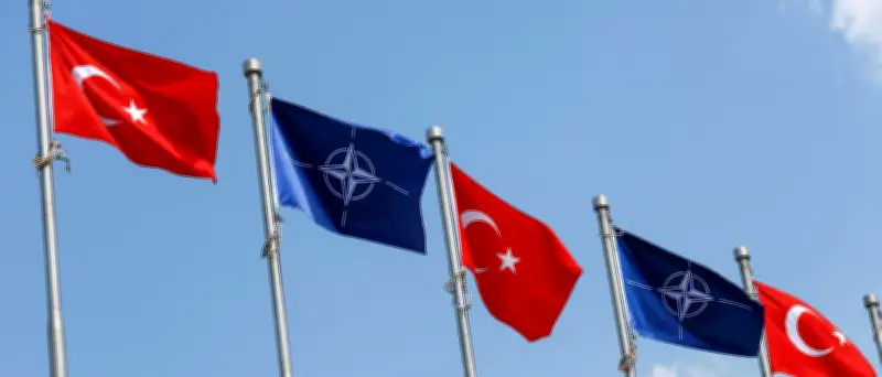 Türkei: Festnahmen vor Nato-Gipfel – Kritik an Razzien