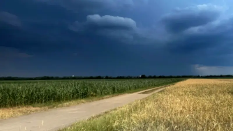 Unwetter in Deutschland: Gewitter und Starkregen am Montag und Dienstag erwartet
