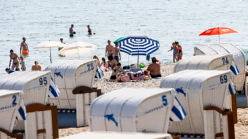 Vibrionen-Alarm in der Ostsee: Kiel warnt Badegäste vor Bakterien