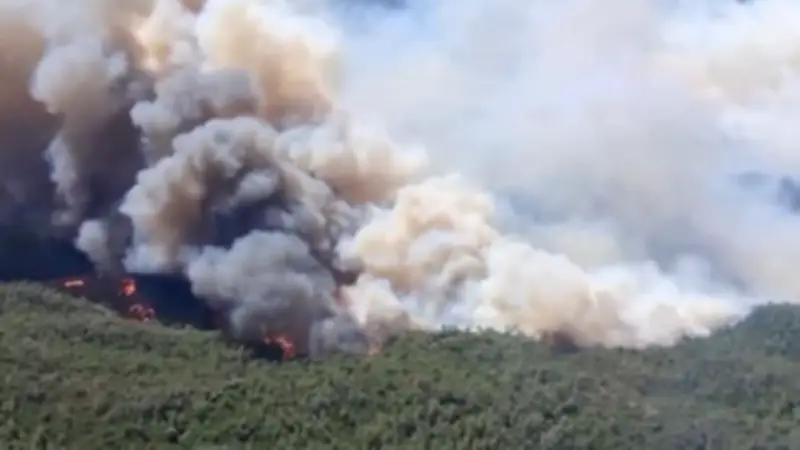 Waldbrand bedroht Costa Brava: Flammenwalze nur 20 Kilometer entfernt