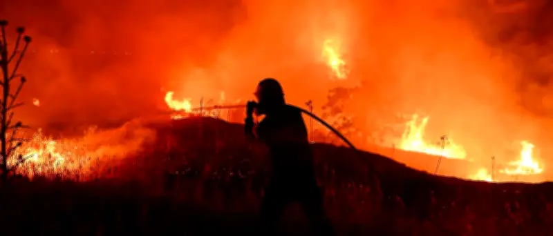Waldbrände in Südeuropa: Feuer in Frankreich und Griechenland außer Kontrolle
