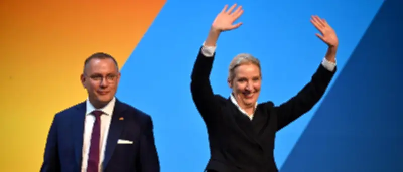 Weidel kritisiert Teile des AfD-Wahlprogramms in Sachsen-Anhalt
