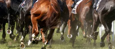 Dardanos gewinnt deutsches Galopp-Derby mit Rekordquote