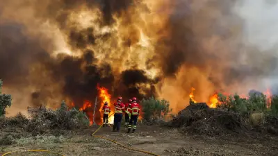 Hitzewelle treibt Feuer an: Südeuropa in Flammen