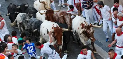 Stierlauf in Pamplona: Tradition oder Tierquälerei?