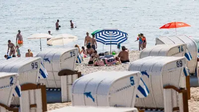 Vibrionen-Alarm in der Ostsee: Kiel warnt Badegäste vor Bakterien