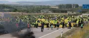 AfD-Parteitag in Erfurt: Blockaden scheitern, 20.000 Demonstranten