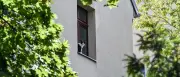 Berliner Tierheim warnt: Fast täglich verletzte Katzen durch Fensterstürze