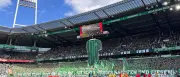 Betonstützen im Weserstadion gebrochen: Werder Bremen prüft Ursache
