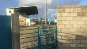 Groundhopper traf Infantino auf Anguilla: So sichert er sich Macht