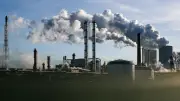Ifo-Institut: Hoffnungsschimmer für Chemie – Stimmung steigt deutlich