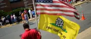 Klapperschlange fast statt Weißkopfseeadler im US-Wappen