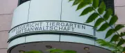 Lachgas am Steuer: Neue Gefahr bei illegalen Autorennen in Berlin