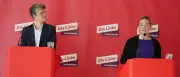 Linke-Klage könnte Verabschiedung des Heizgesetzes verzögern