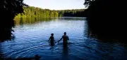 Mann ertrinkt im Berliner Schlachtensee – Feuerwehr kann nur noch Tod feststellen