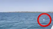 Mädchen treibt vor türkischer Küste auf Luftmatratze ins offene Meer