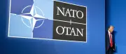Nato-Gipfel in Ankara: Trump sorgt für neuen Streit um Verteidigungsausgaben