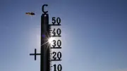 Nächste Hitzewelle im Juli: Meteorologe sieht klare Tendenzen zu 45 Grad