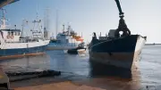 Schiffe haben ein Schicksal: Vom Traum unsinkbar zu sein