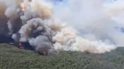 Waldbrand bedroht Costa Brava: Flammenwalze nur 20 Kilometer entfernt